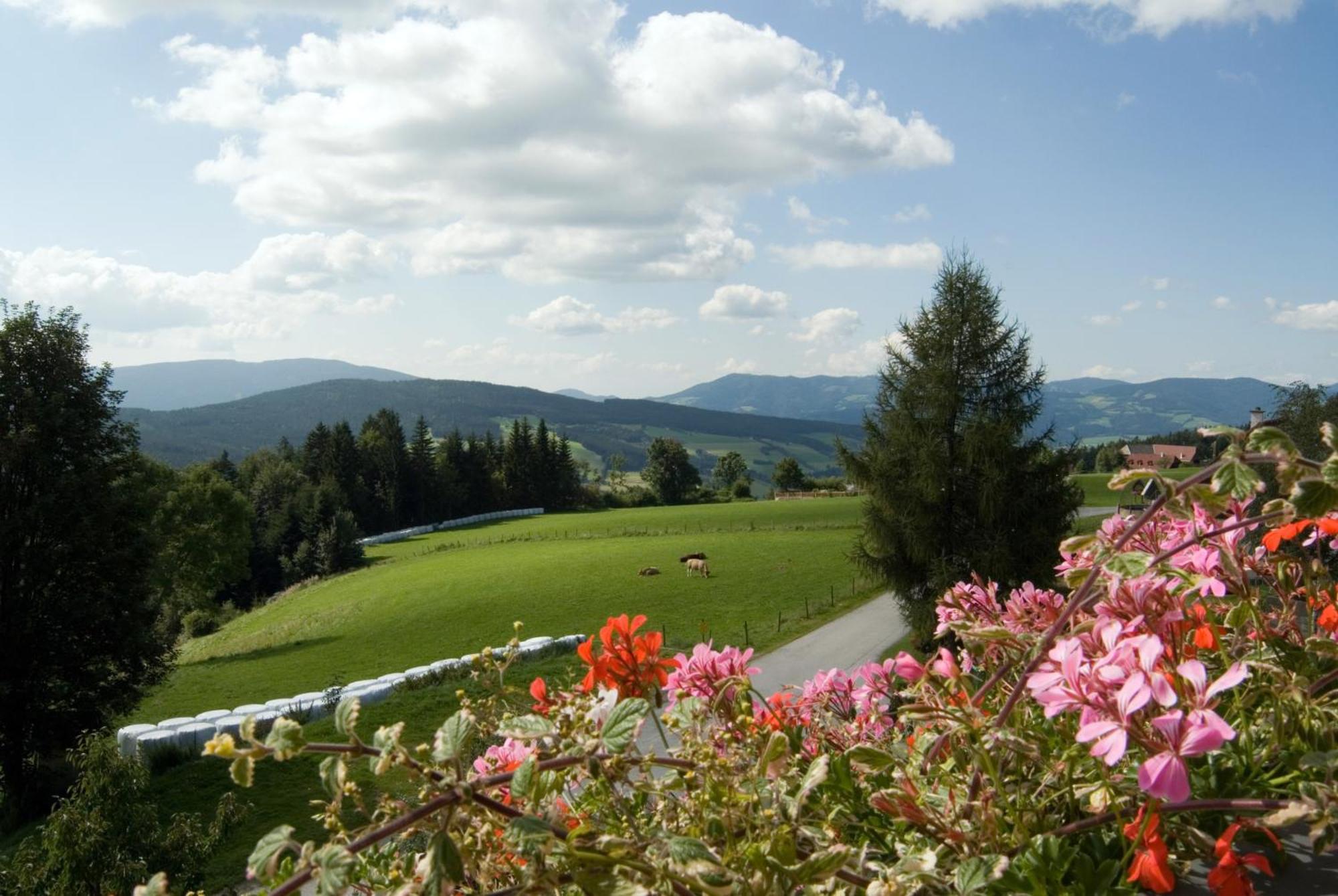 Wildwiesenhof Miesenbach  ภายนอก รูปภาพ