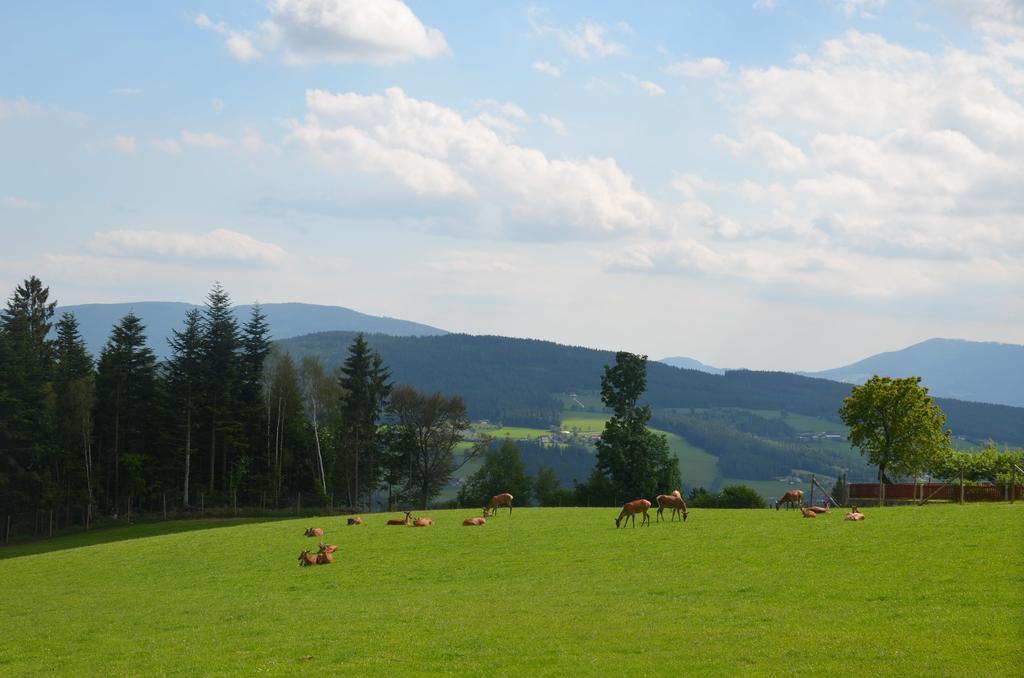 Wildwiesenhof Miesenbach  ภายนอก รูปภาพ