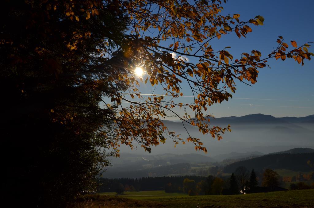 Wildwiesenhof Miesenbach  ภายนอก รูปภาพ